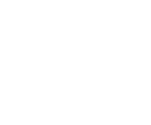 Kimberly Clark